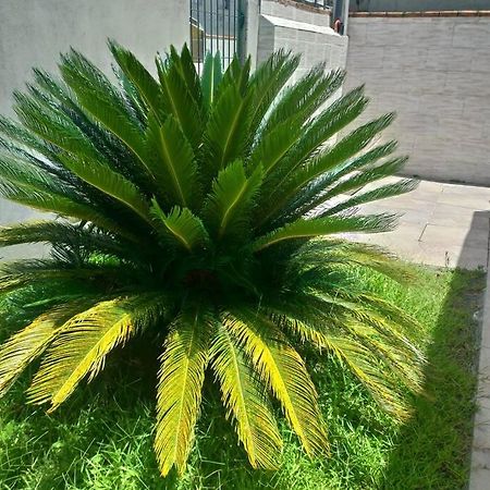 Casa Agradavel Em Camboriu Com Estacionamento No Patio别墅 外观 照片