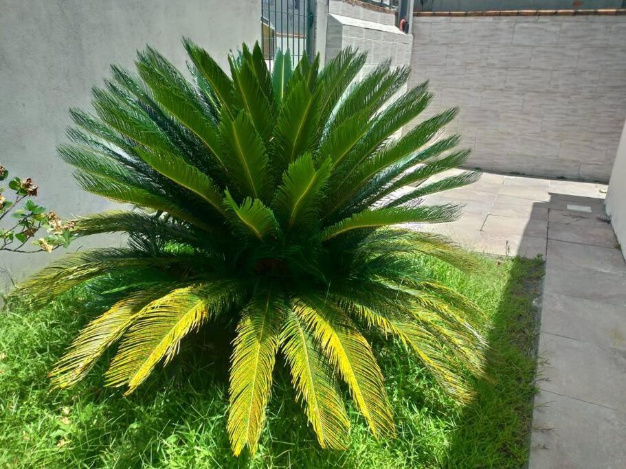 Casa Agradavel Em Camboriu Com Estacionamento No Patio别墅 外观 照片